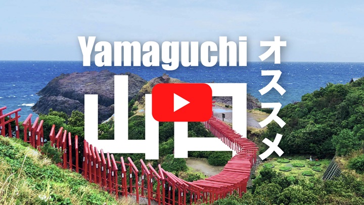 Have Fun in Yamaguchi Pass - Choose Any 3 Attractions for  Yamaguchi Trip!